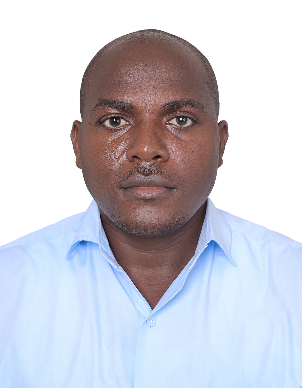 Team Member